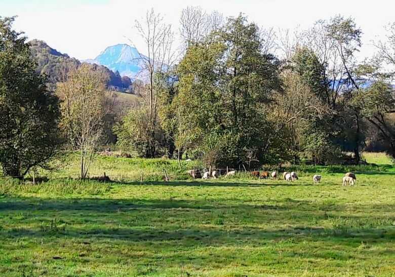 Domaine Lou Castet B&B