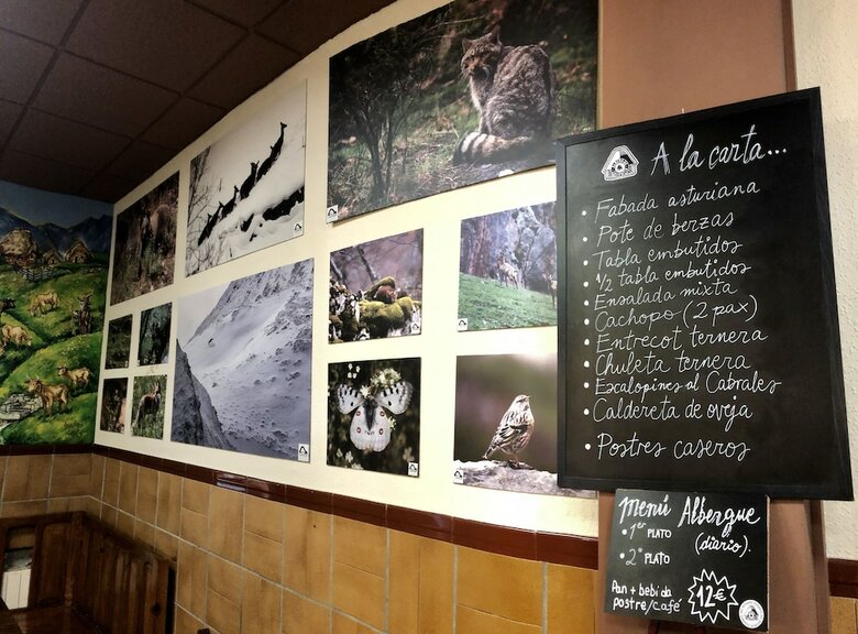 Hostal Albergue de Saliencia