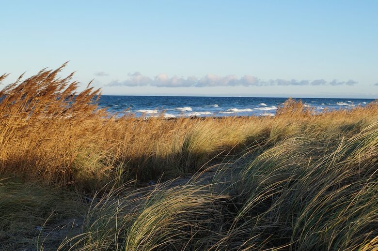 Apartamentos Strandleben Fehmarn - Ferienhaus 1