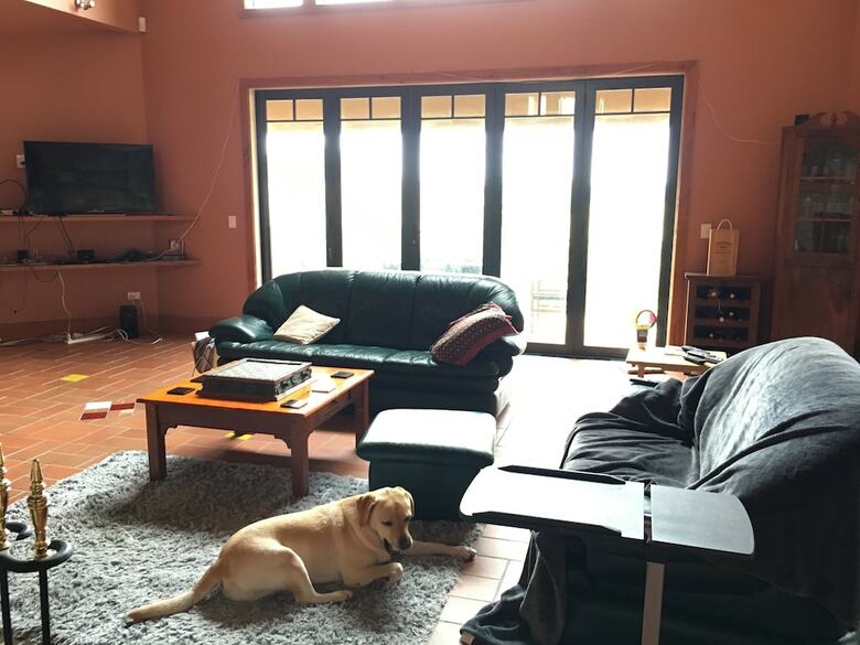 Lucky Duck Country Lodge B&B Hamilton
