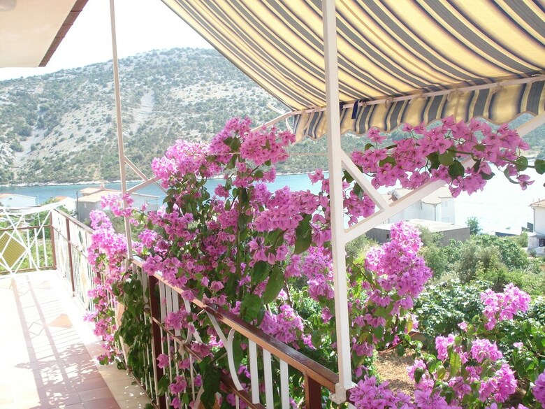 Apartamentos Green Paradise With Magnificent View