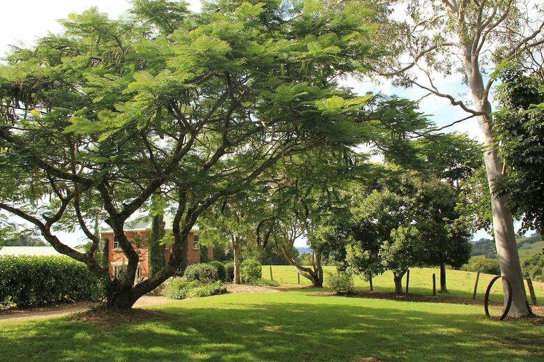 Hotel Seasons Of Maleny B&B