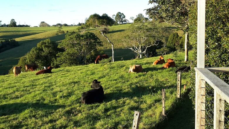 Hotel Seasons Of Maleny B&B
