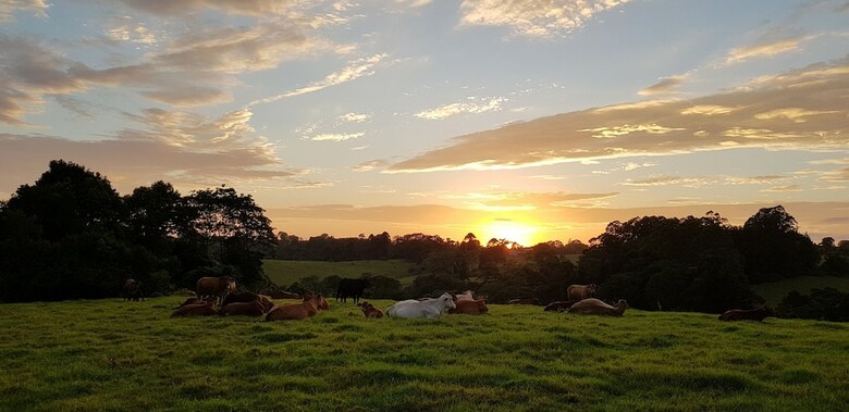 Hotel Seasons Of Maleny B&B