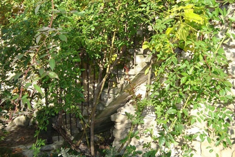 Domaine Saint Luc - Gite Flavone