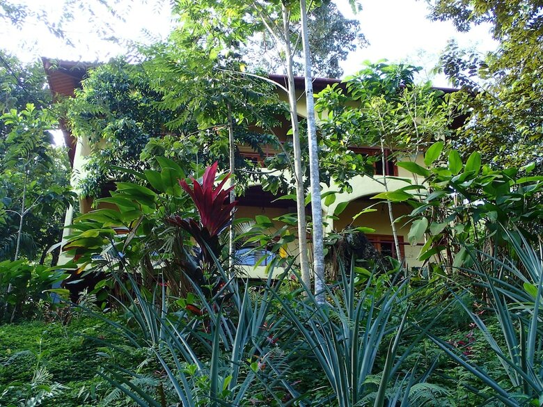 Hotel Morrillo Beach Eco Resort