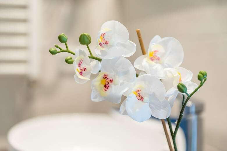 Hotel Bij Boone