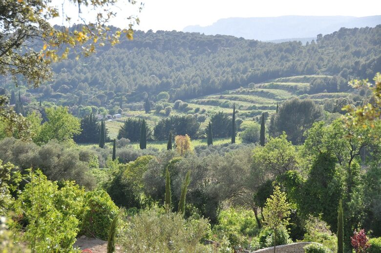 Hotel Le Mas Du Perthus