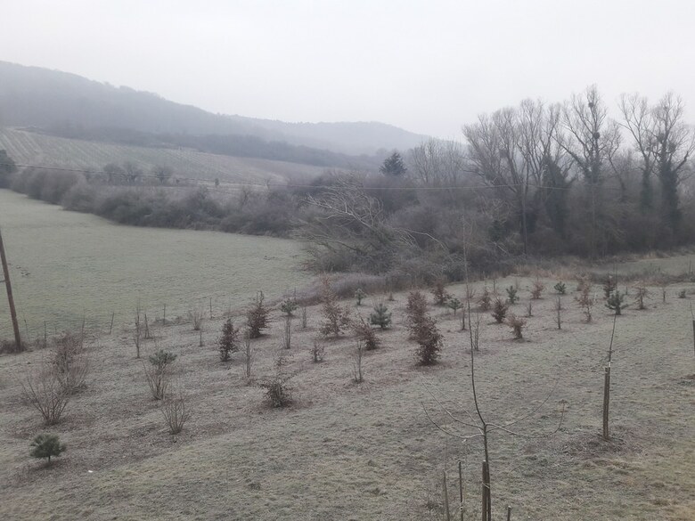 Bed & Breakfast Aux Vignes