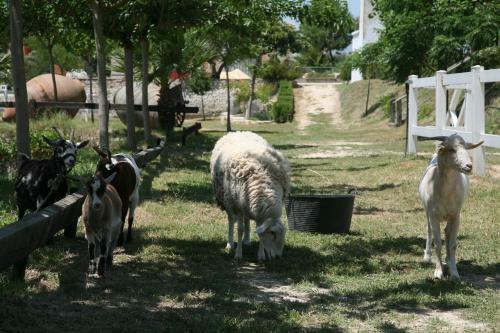 Agroturismo El Mas De Xet�