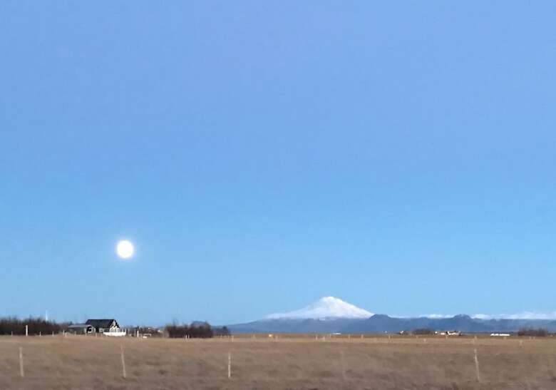 Hotel Loa�s Nest Guesthouse