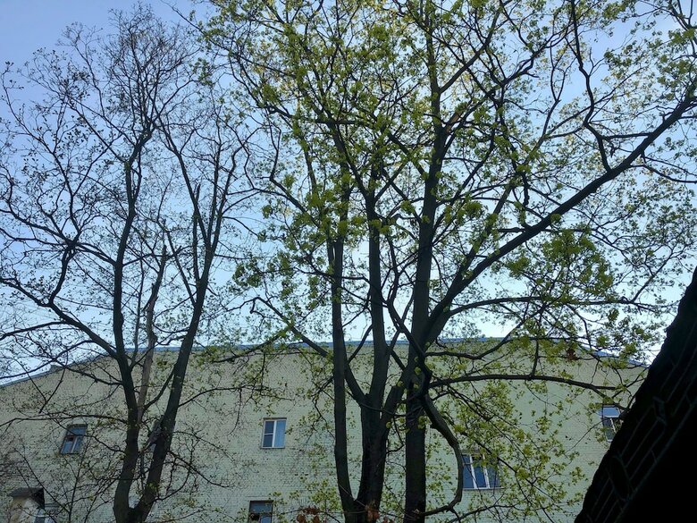 Hostal Strawberry Duck Moscow