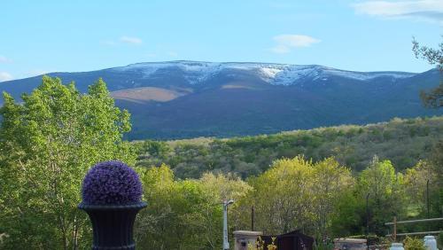 Hotel Villa Liguardi