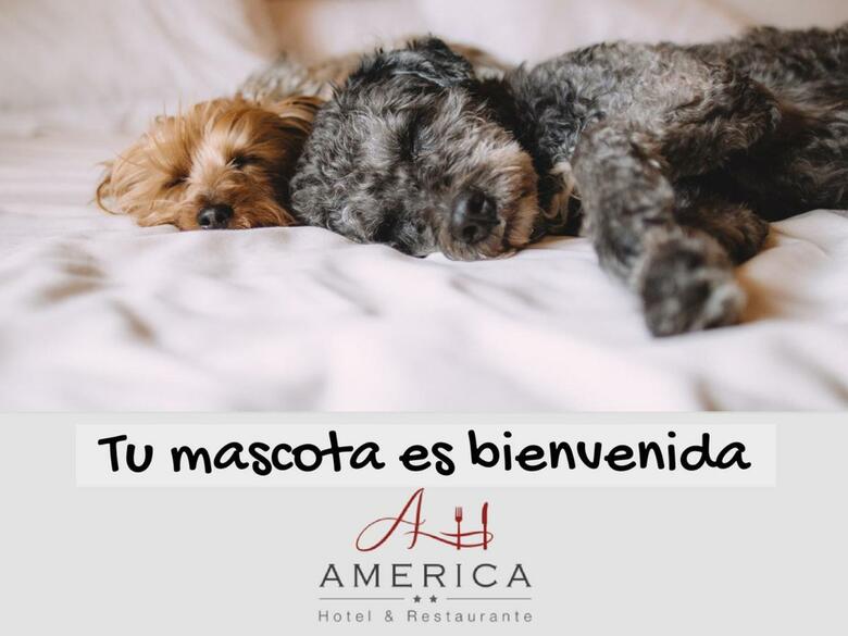 Hotel Restaurante America