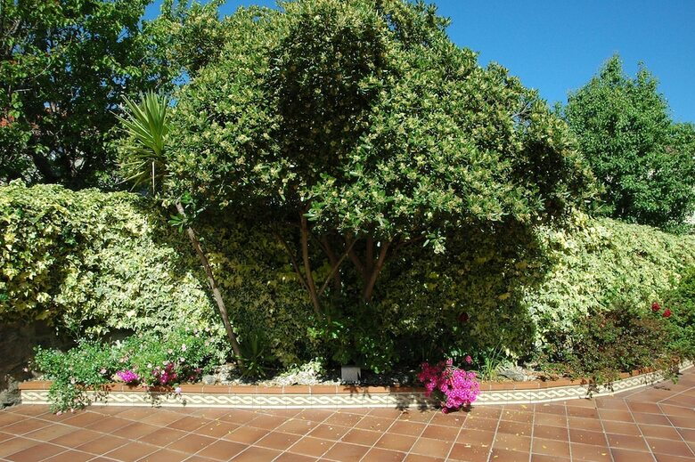 Agroturismo Os Migueli�os