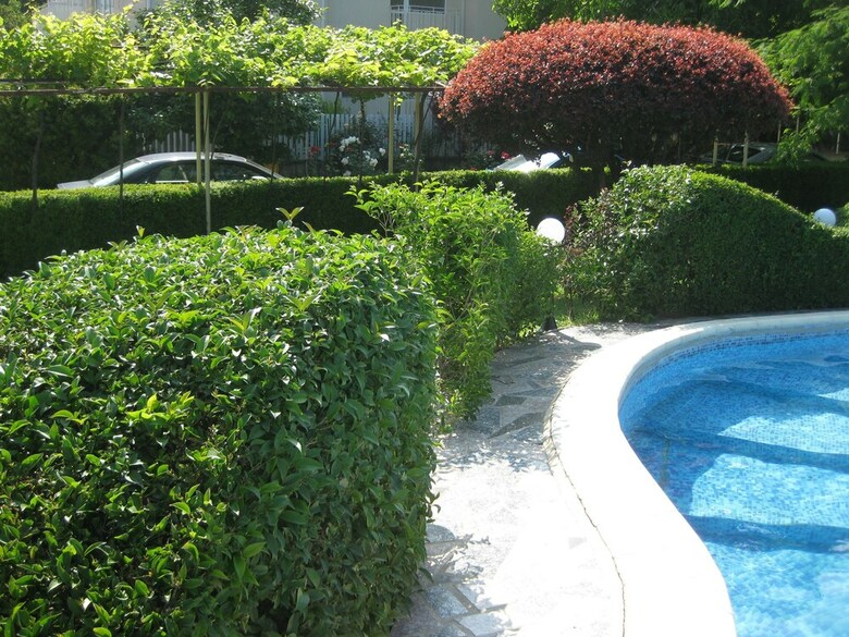 Hotel Villa Aurora