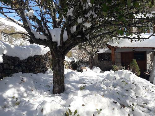 Hostal Posada Real El Rinc�n De Babia