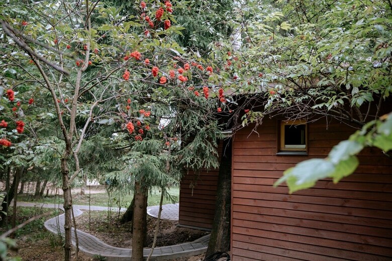 Villa Skokovo Park