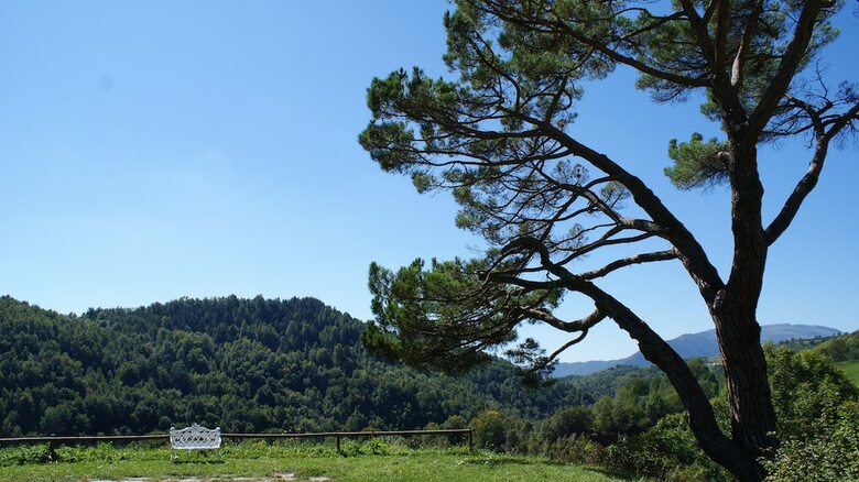 Agroturismo La Costa de Mollo