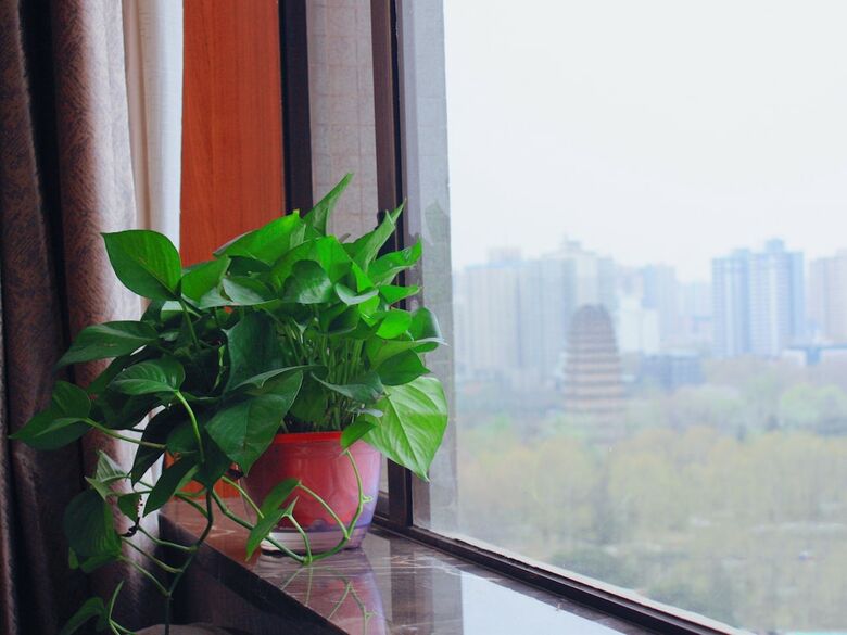 Xian Guotai Grand Hotel