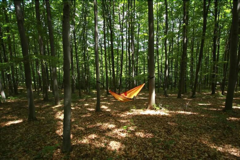 Bed & Breakfast Alla Casetta