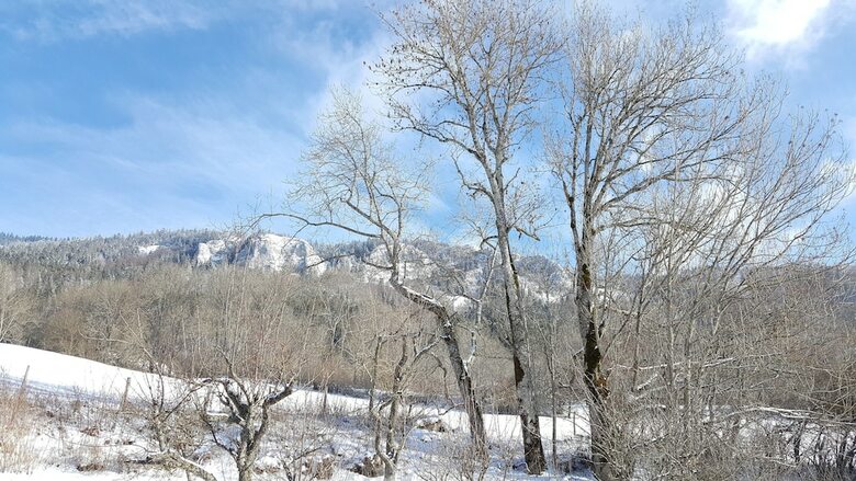 Le Chalet Contemporain