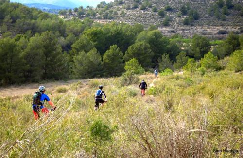 Camping Sierra Espu�a
