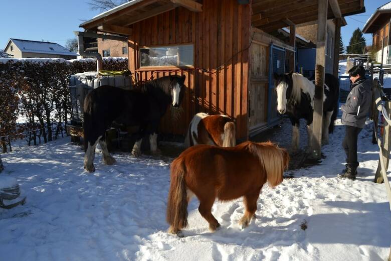 Apartamentos Ferien Bei Freunden Im Holzhaus