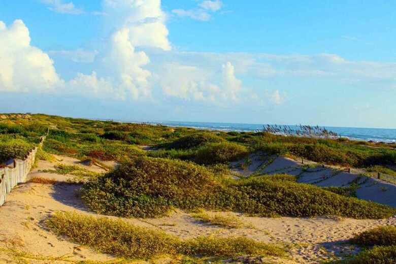 Saida Royale Condominium 9044-45