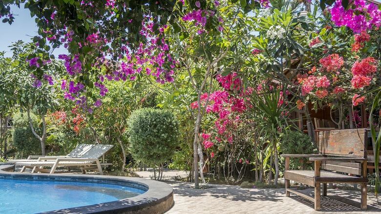 Bed & Breakfast Honeyst Bungalow