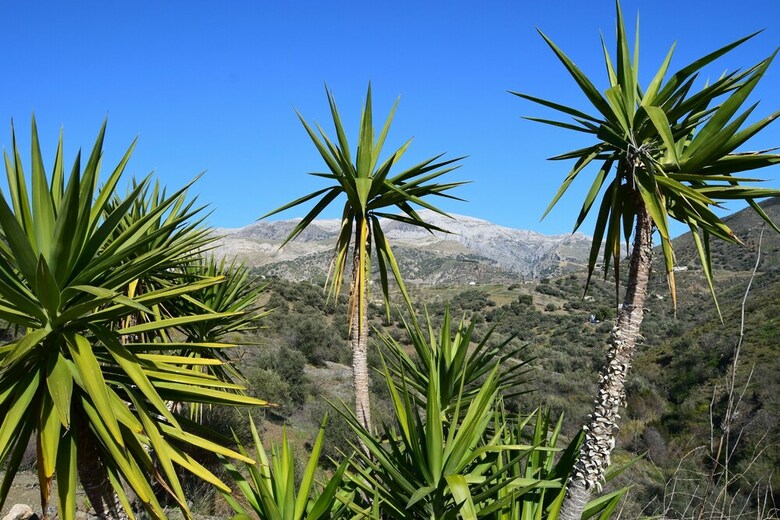 Bed & Breakfast Cortijo La Zapatera