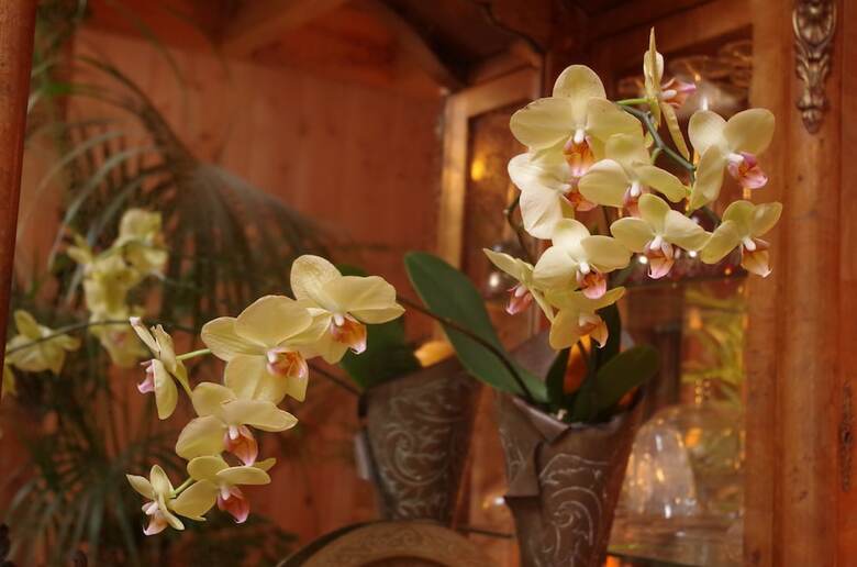 Maison Entre Oc�an Et Lac