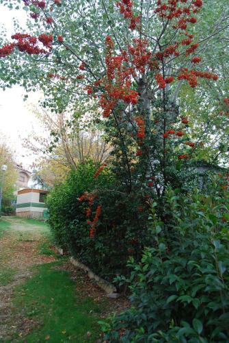 Camping De Cervera De Buitrago