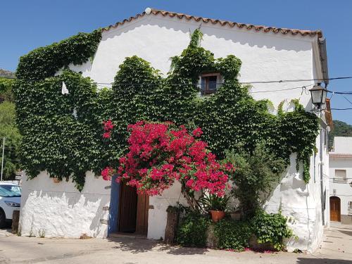 Casa La Yedra