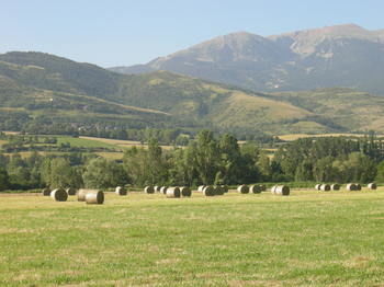 Agroturismo Mas D'arav�