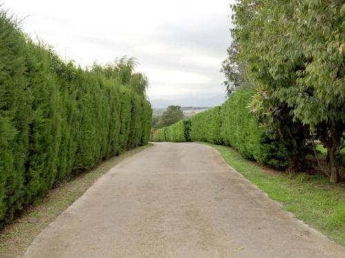 Mas Garriga-mas Llorens