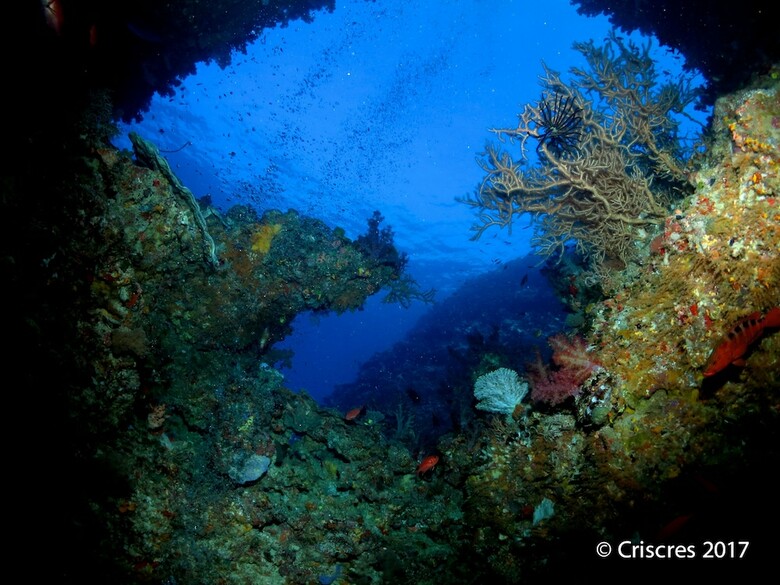 Hotel Viani Bay Resort At Dive Academy Fiji