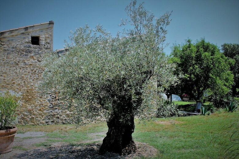 Bed & Breakfast Chambre D'h�tes Le Mas de La Seuve