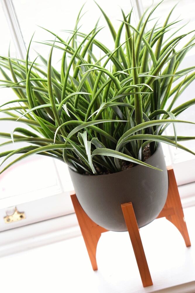 Apartamentos The Queensdale - Yourapartment