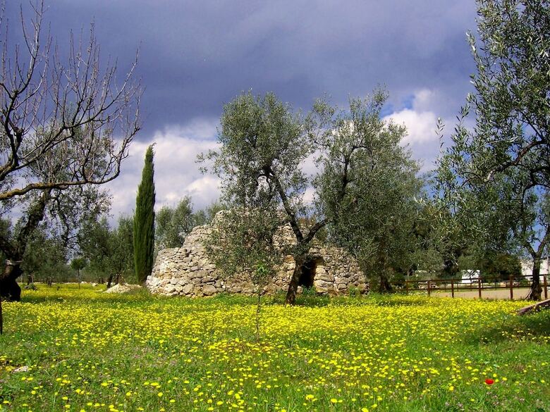 Agroturismo Agriturismo Le Vedute