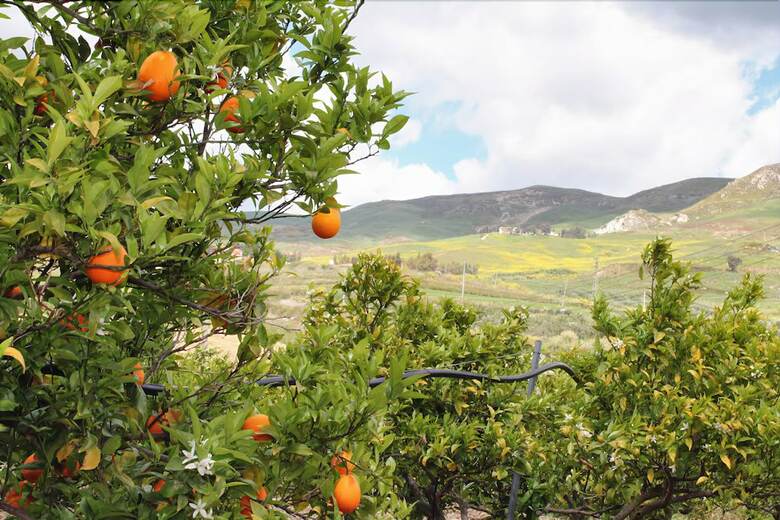 Agroturismo Tenuta Lanza Il Mulino