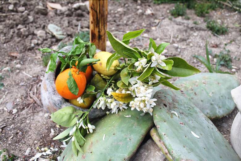 Agroturismo Tenuta Lanza Il Mulino