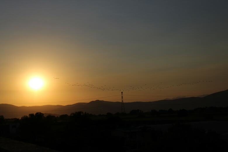 Hotel Desarrollo Tur�stico Partidor Del Sol