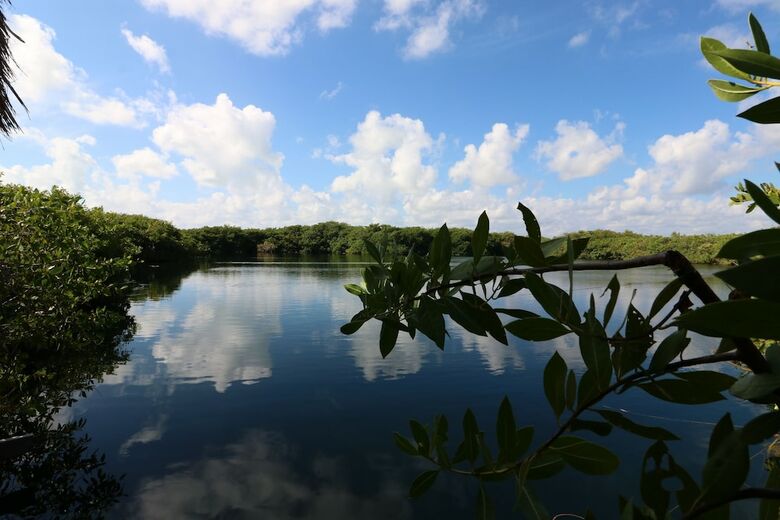 Cormoran Boutique Hotel & Cenote Tulum