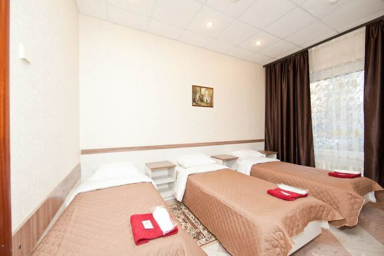 Hotel Ladomir Fili
