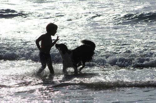 Apartamento Cap Morgat Chez Jean