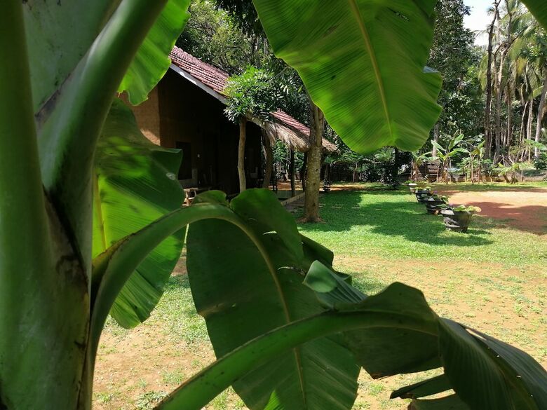 Bed & Breakfast Ama Villa Homestay