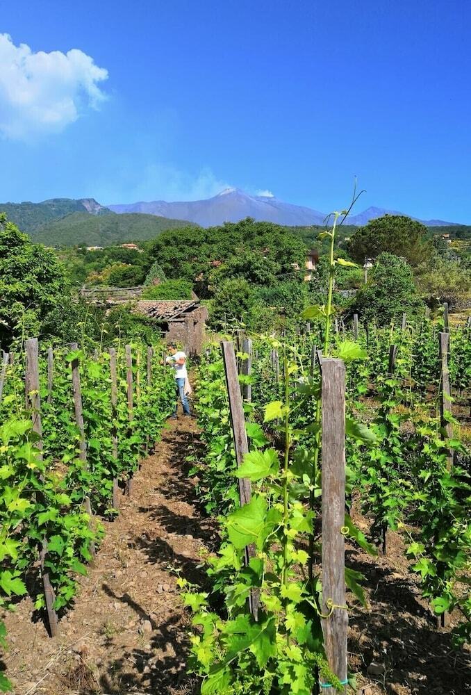 Bed & Breakfast Alberto's Mt. Etna B & B