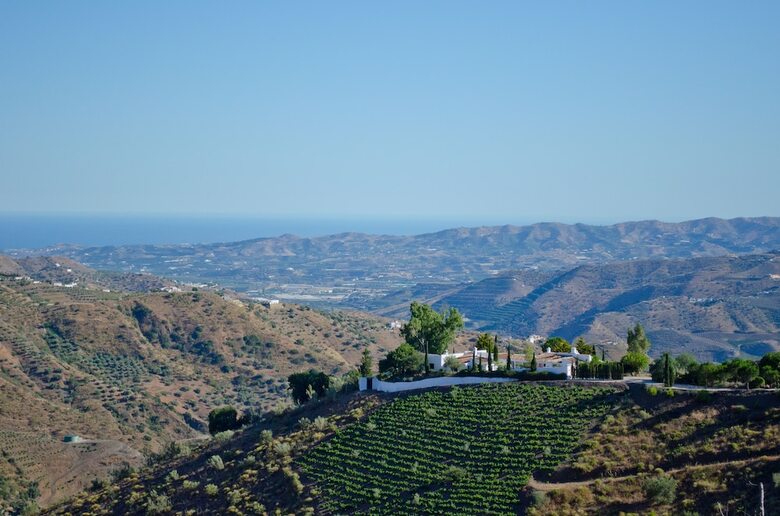 Villa The Carligto Estate
