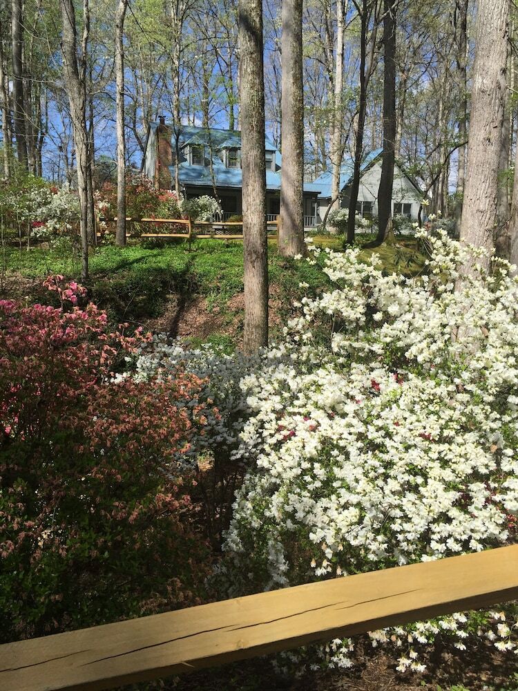 Bed & Breakfast Azalea Private Wellness Retreat Bnb